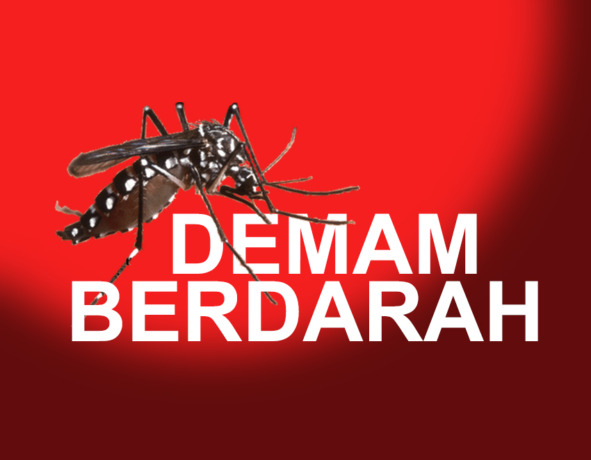 Demam Berdarah di Tuban