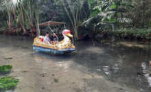 Wisata Pelang Tuban