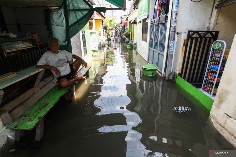 perkampungan tergenang banjir